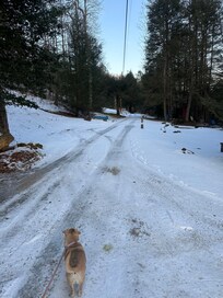 The main roads were clear and dry. The lane to the cabin was snowy but drivable.