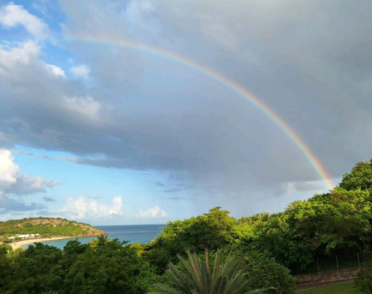 View from veranda
