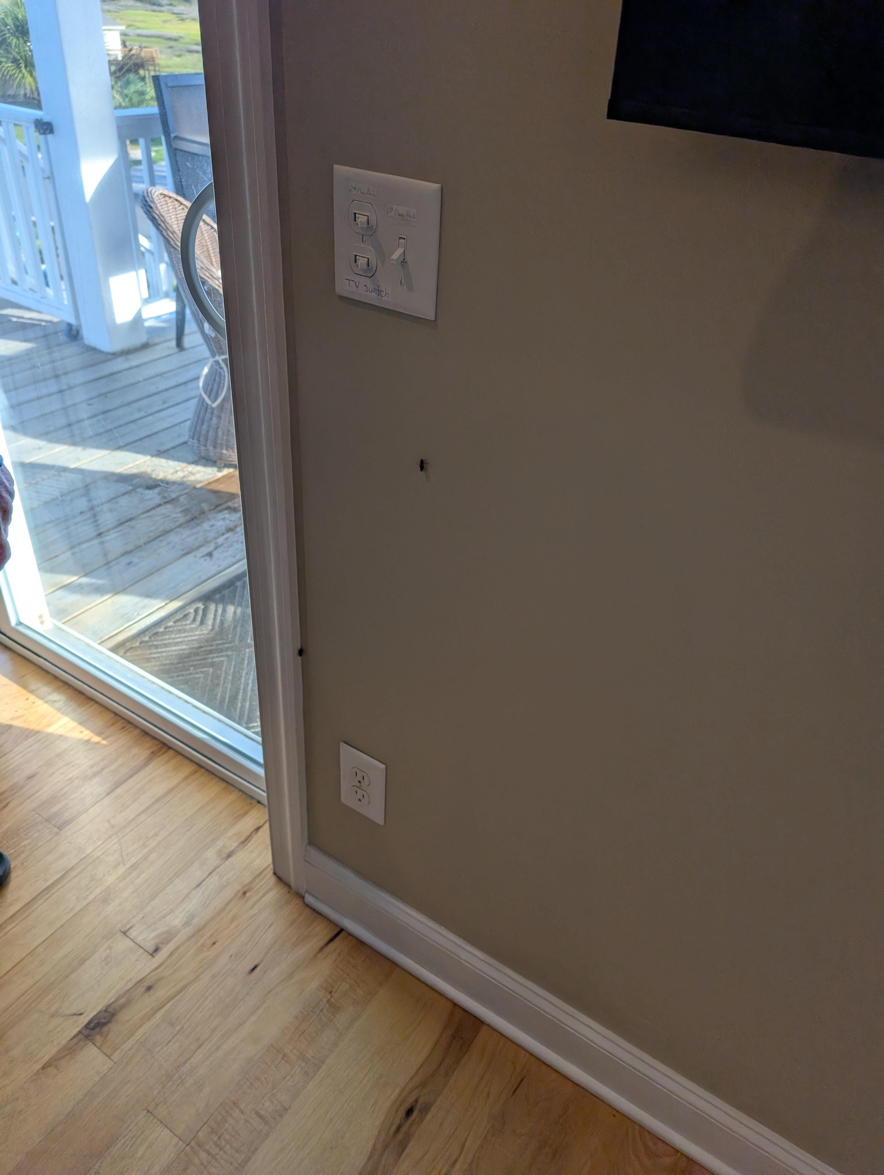 Cockroaches crawling on the wall of the living room.