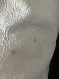 Recipenist asked for proof of stains on my blanket so I am attaching them here.