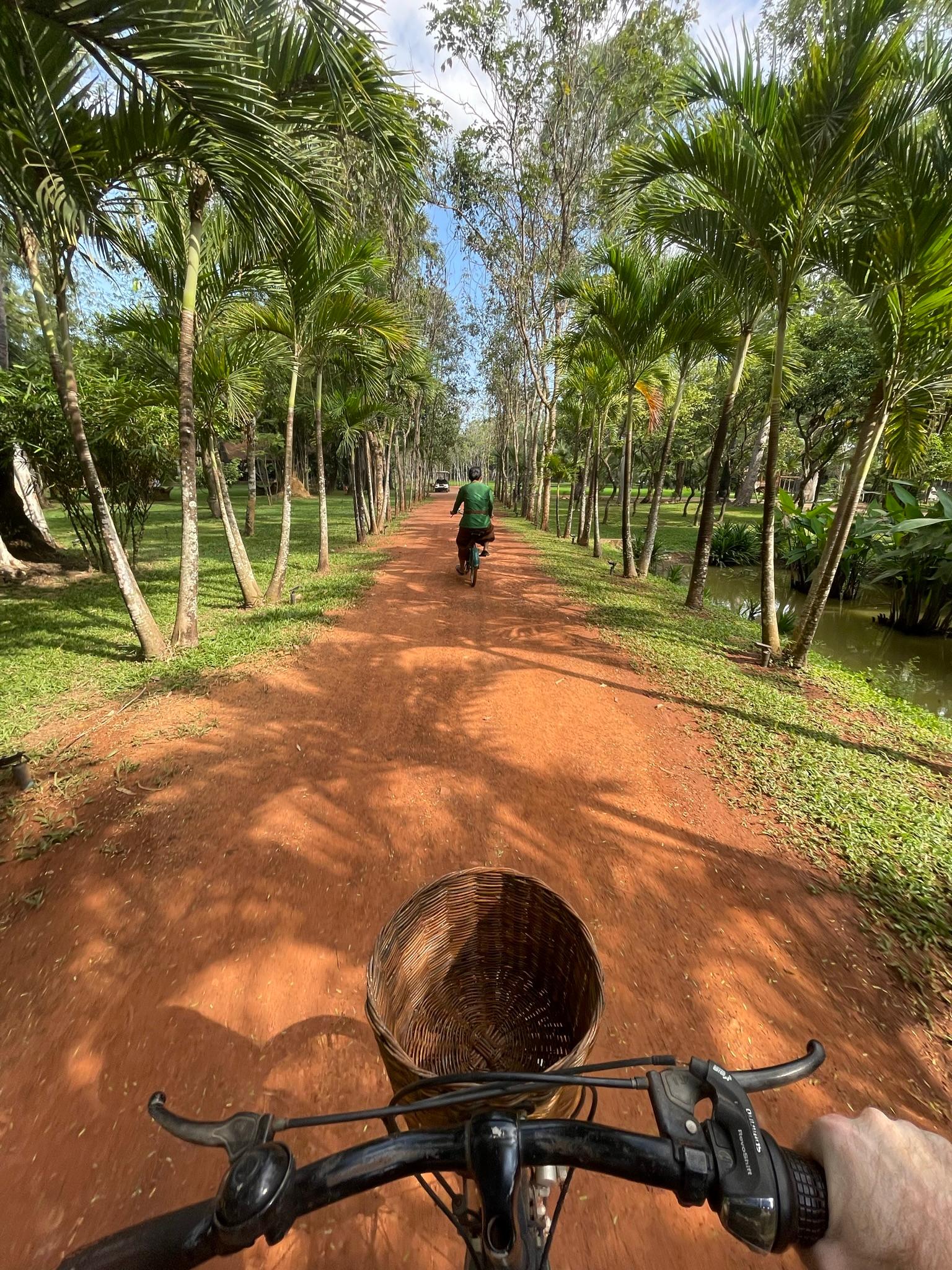 Morning bike ride through the property