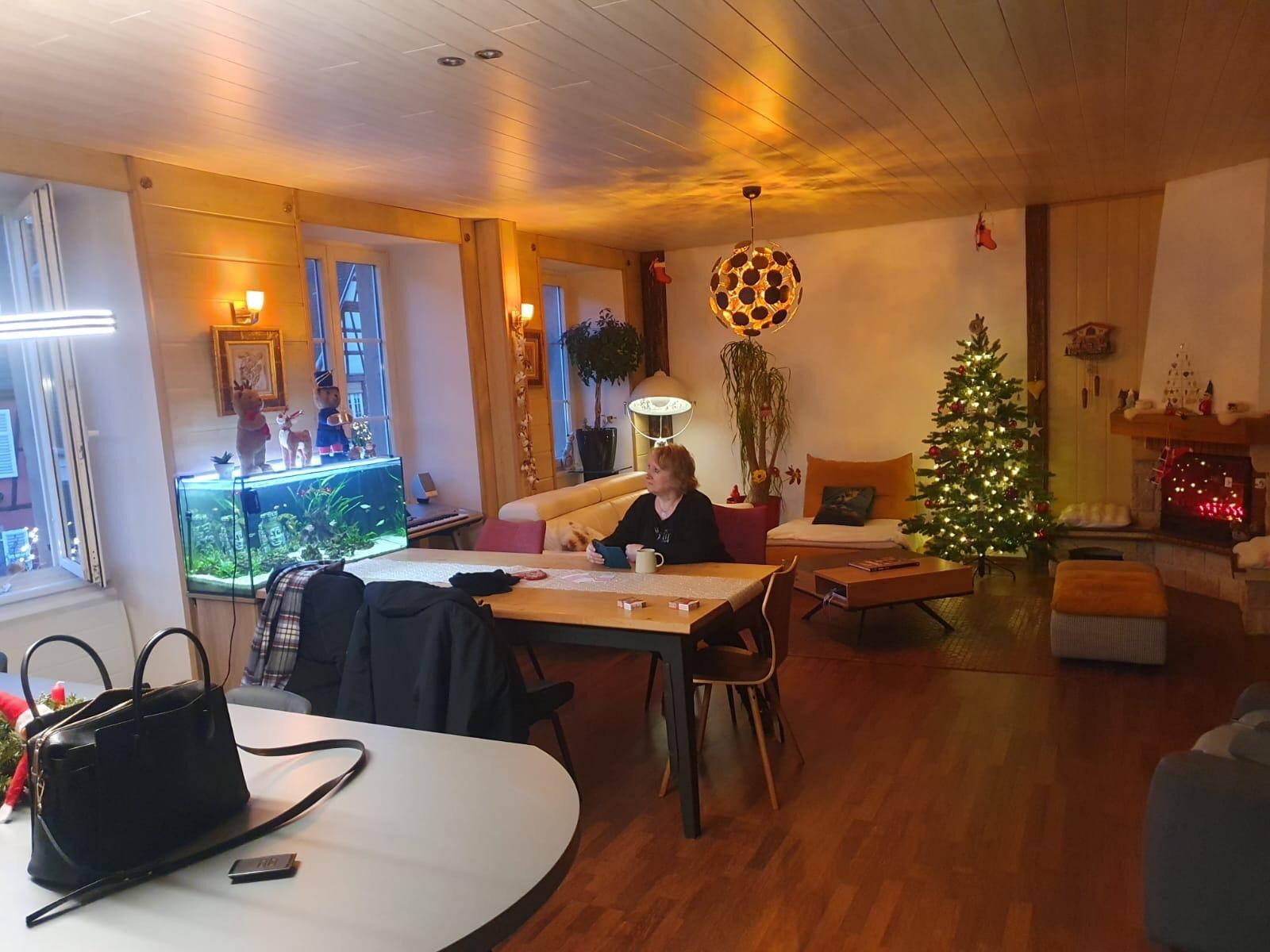 Dans la cuisine et le salon 