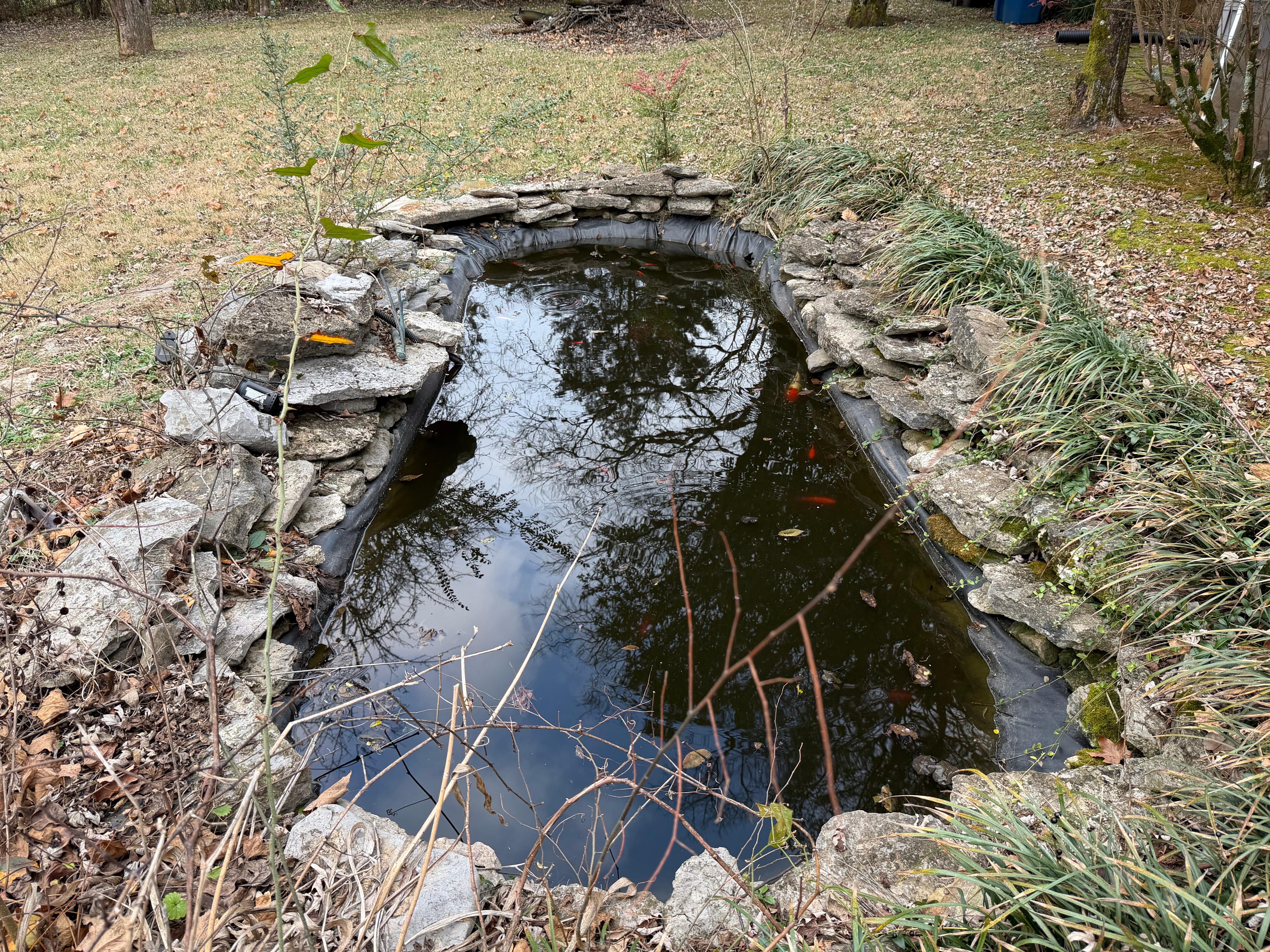Koi pond (there is no hot tub)