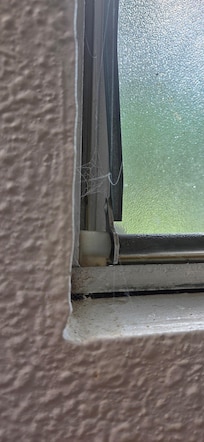 Cobwebs