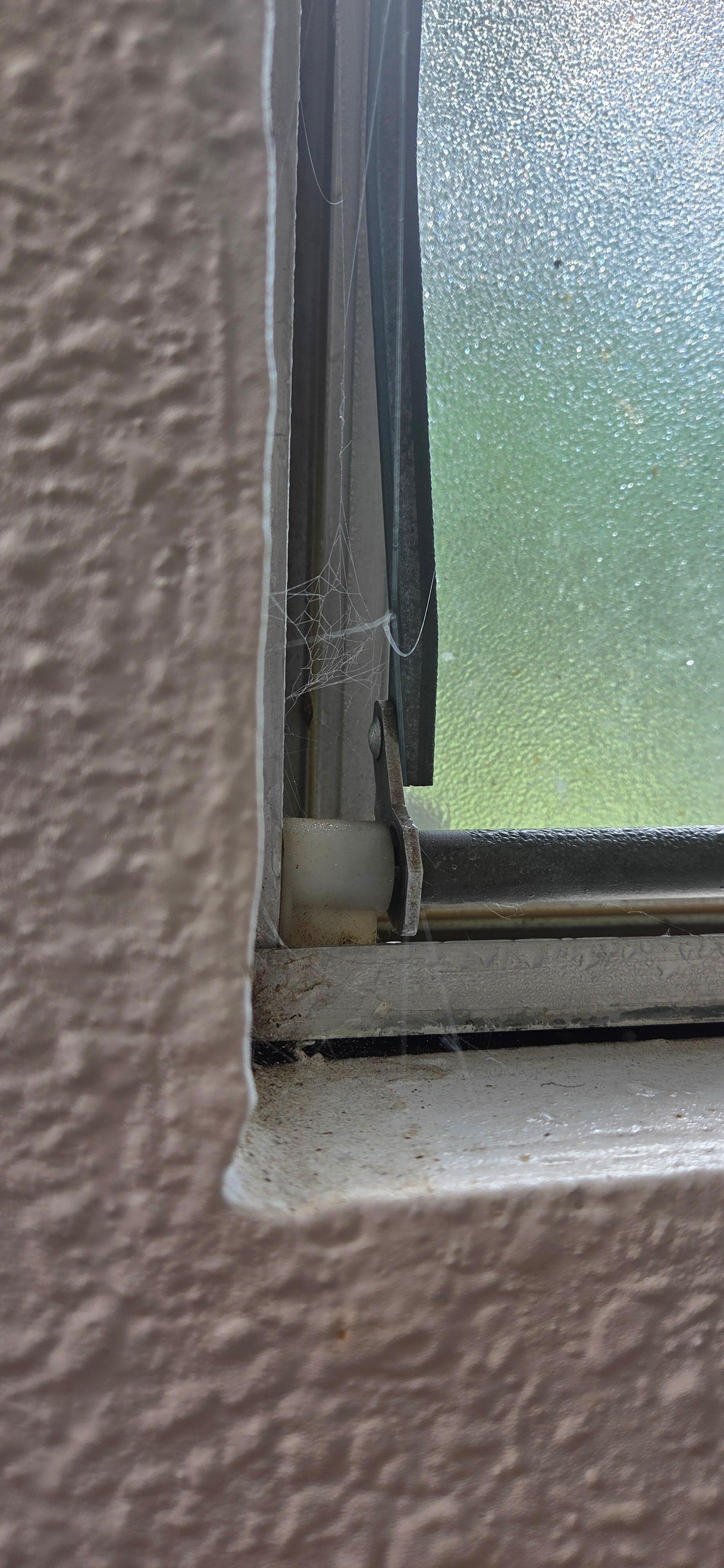 Cobwebs