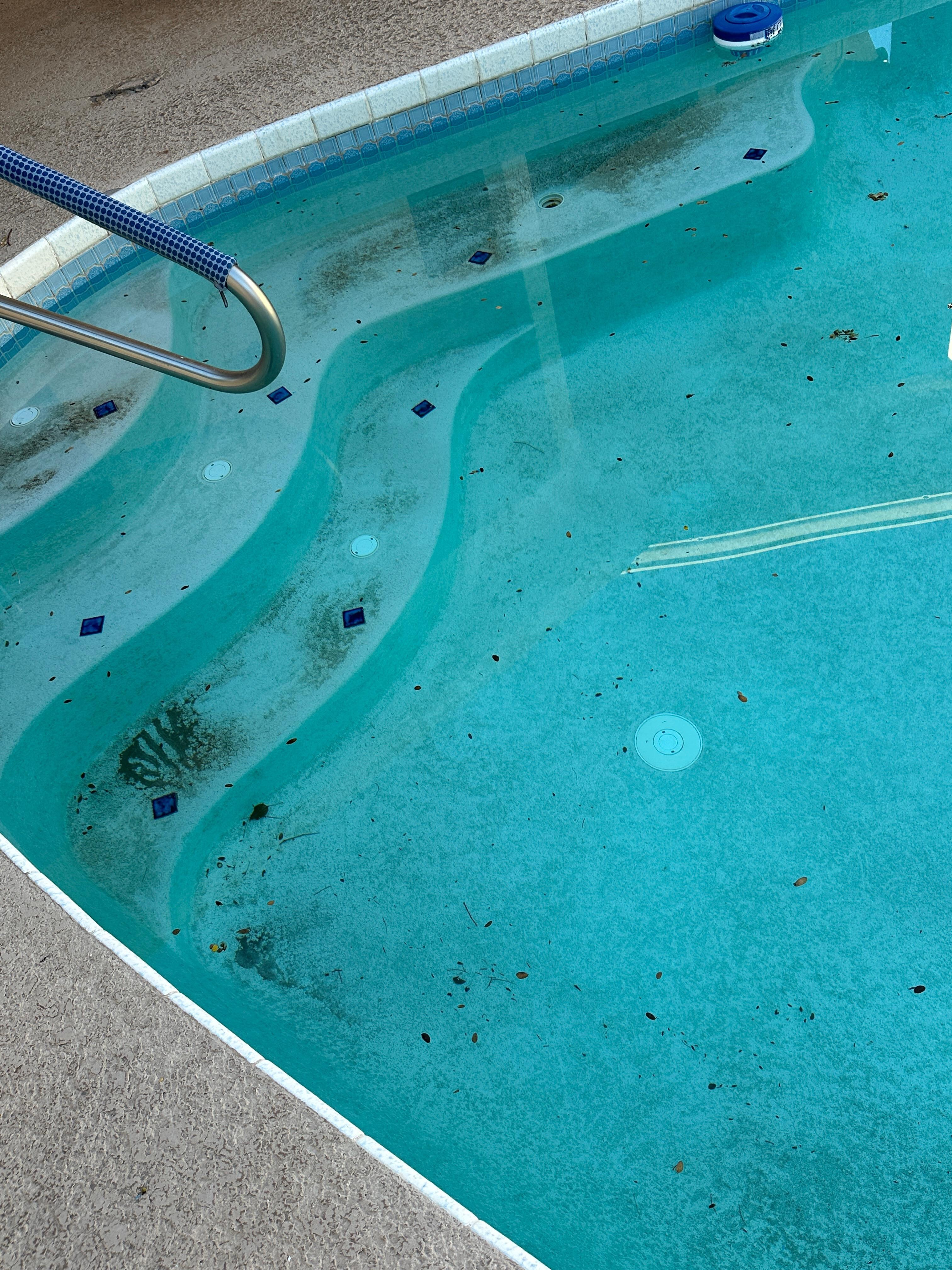 Before pool cleaning 