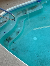 Before pool cleaning