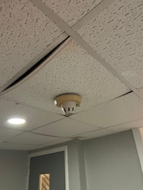 Ceiling tiles near pool.