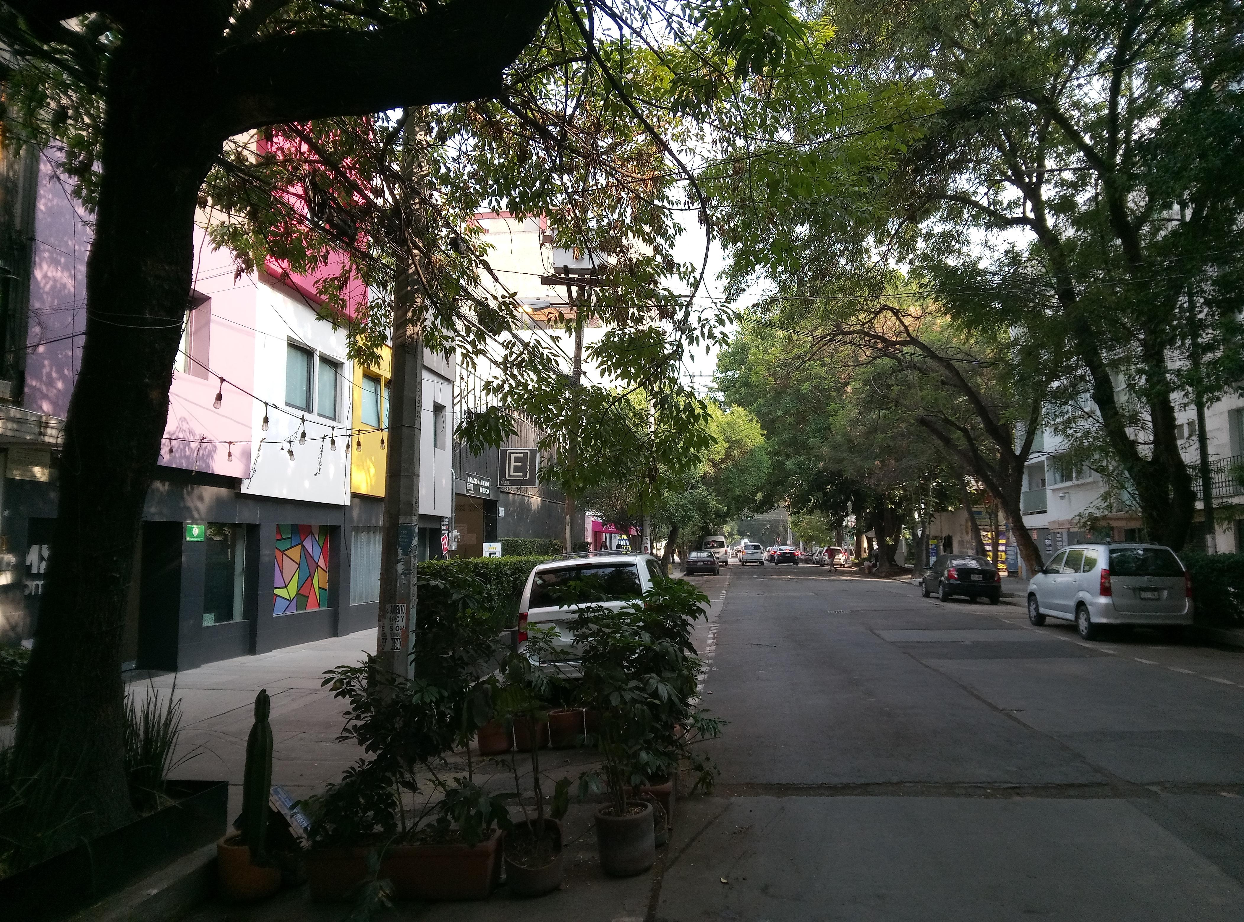 Tree-lined street in front of hotel.