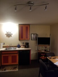 Non-working track lighting, the bare bulb above the sink as the only light in the living room