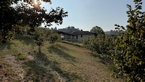 Noccioleto