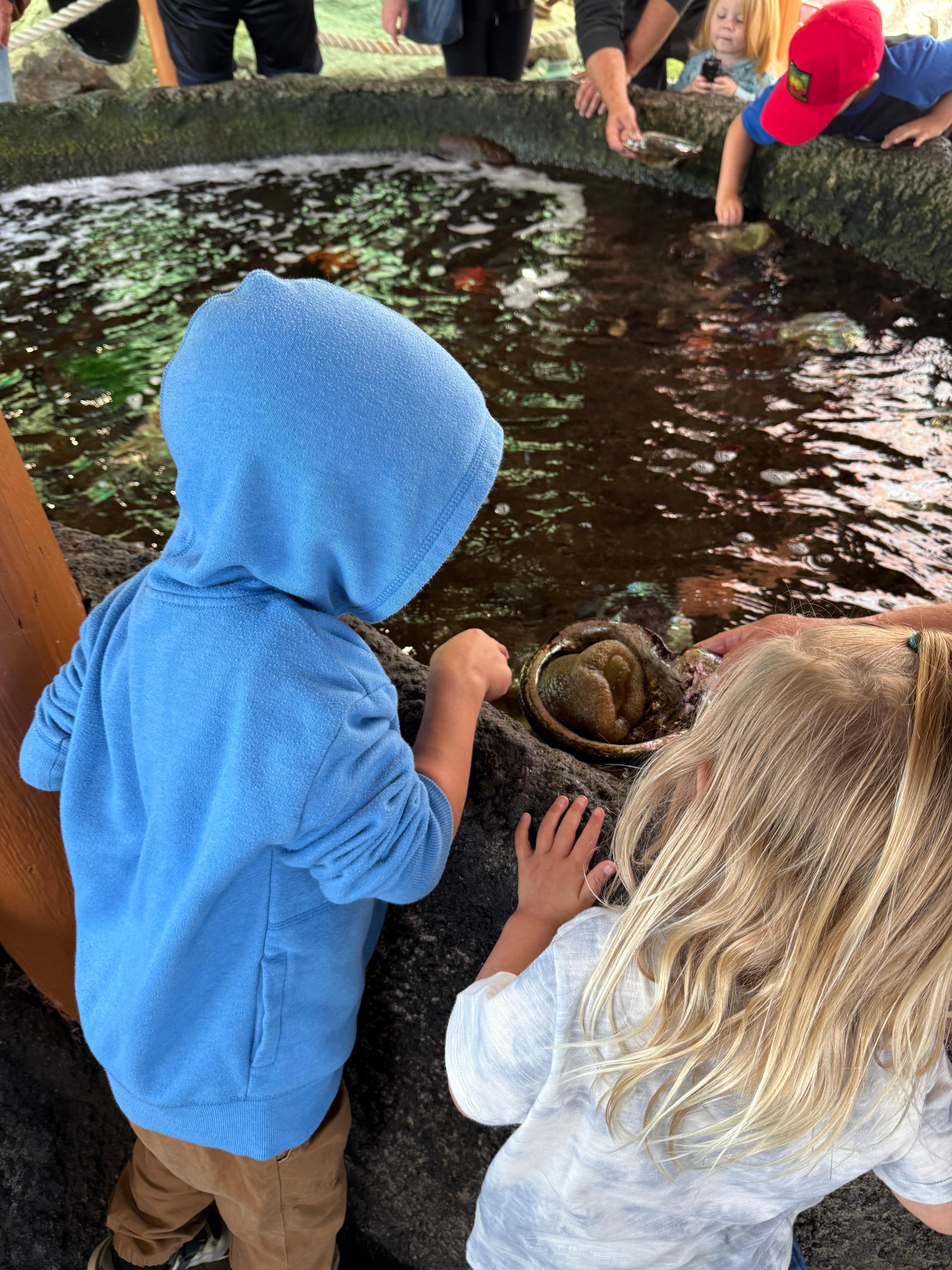 Ocean World’s tide pool.