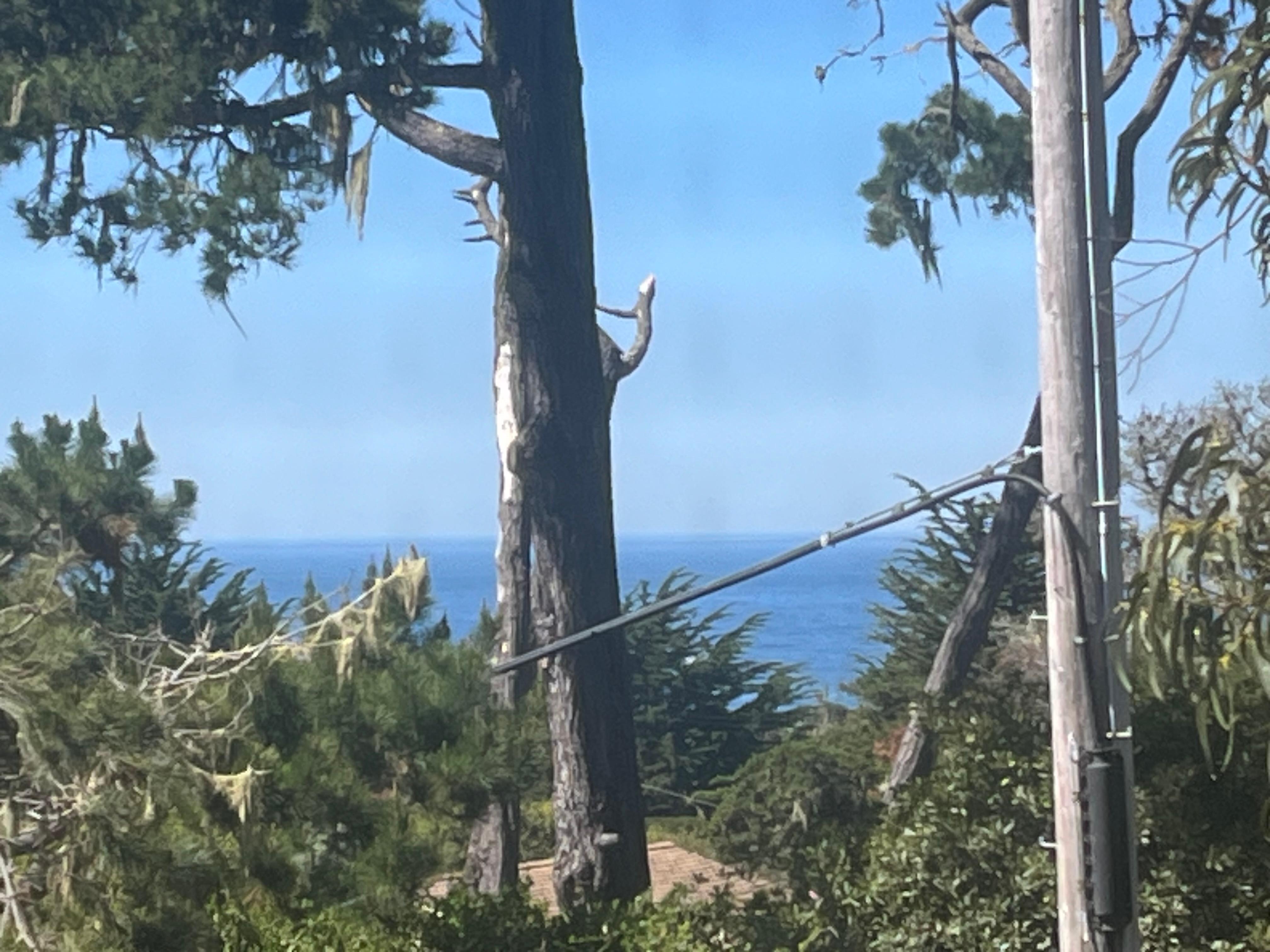 The view from the balcony of our hotel.