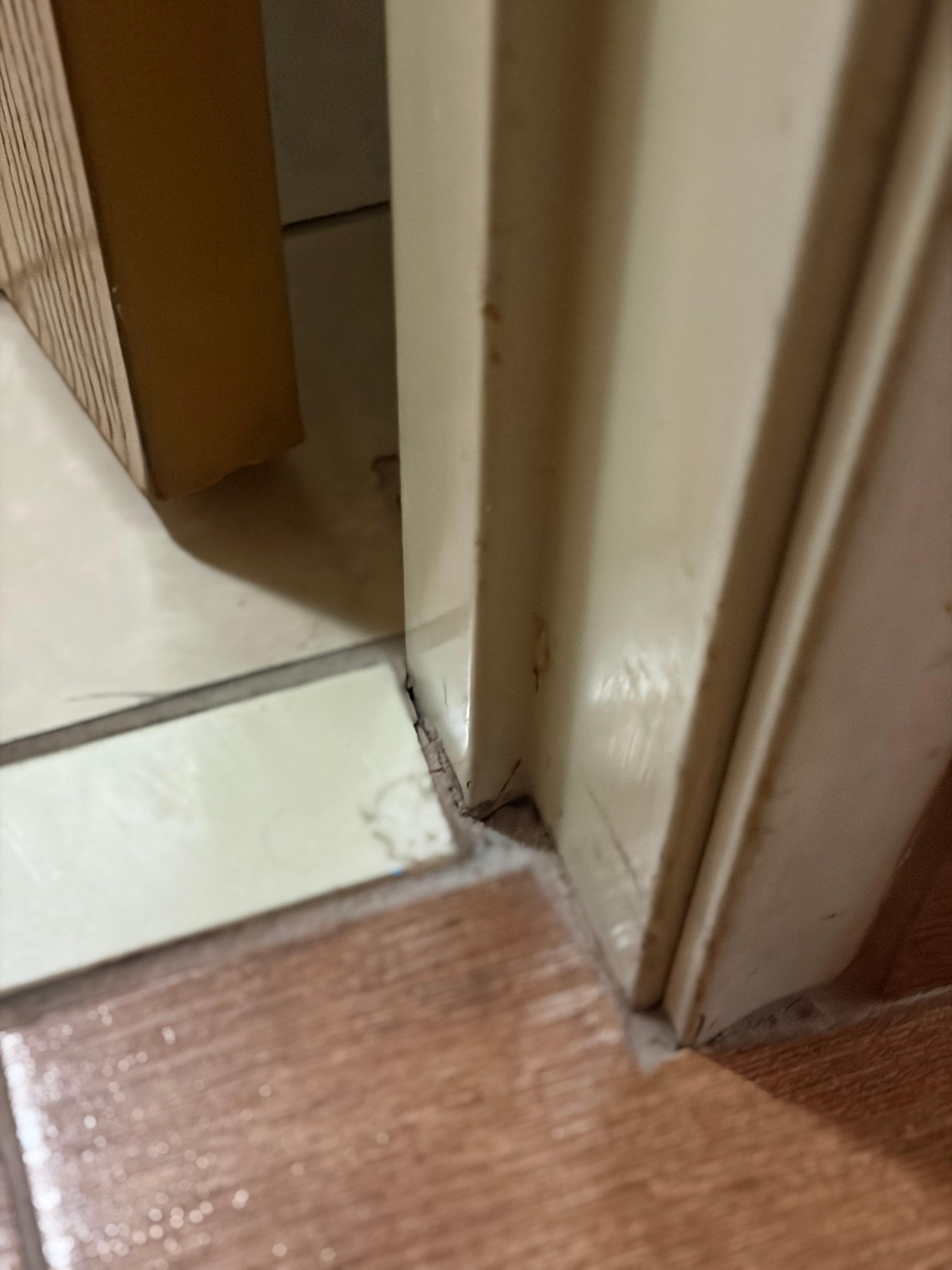 Mold and filth and smell of mold.