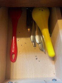 Kitchen utensils drawer;mouse poop!