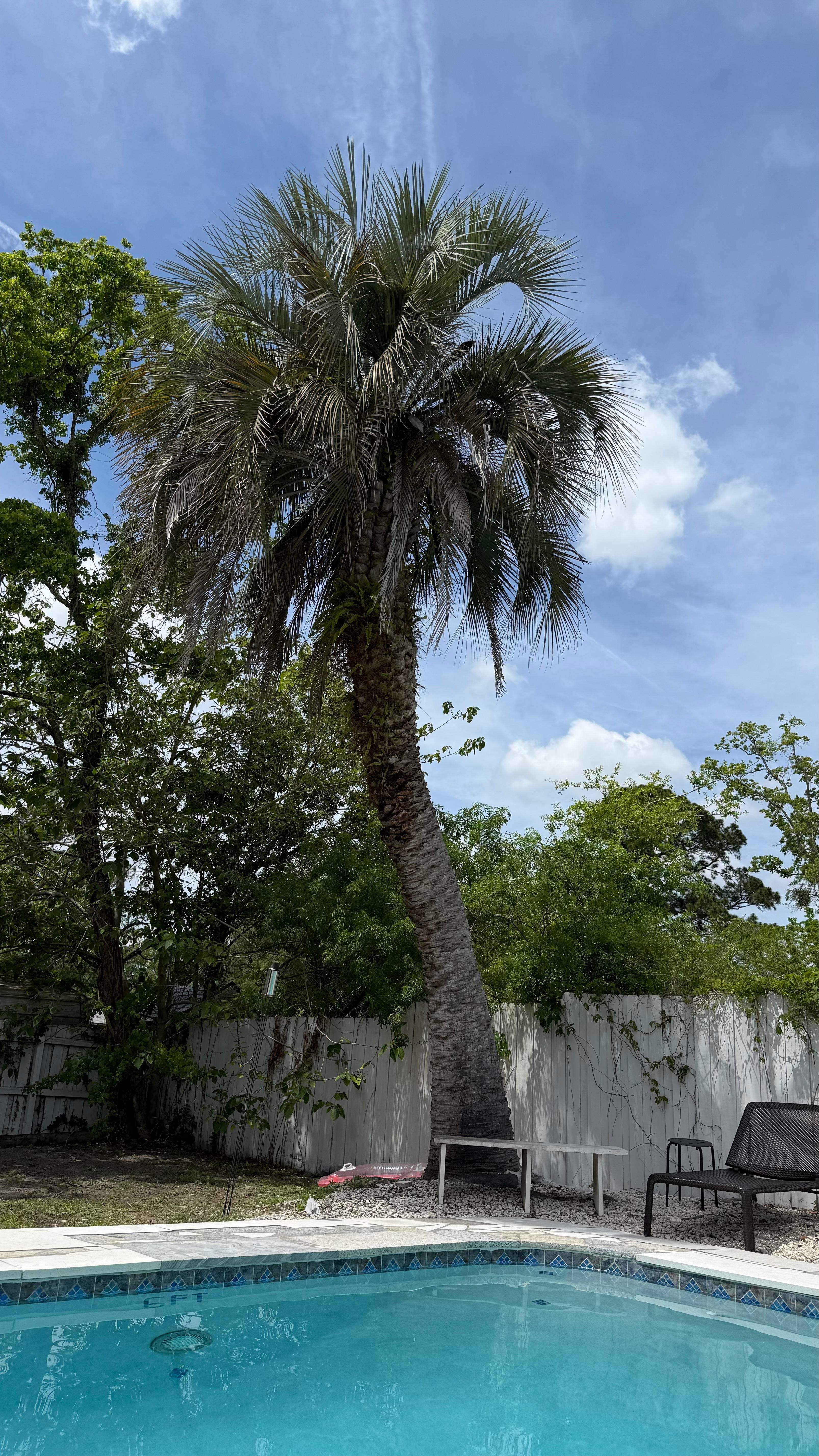 Super quiet neighborhood, private and fenced in