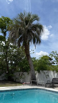 Super quiet neighborhood, private and fenced in
