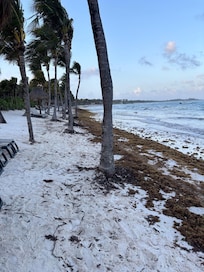 The trashed beaches and water.