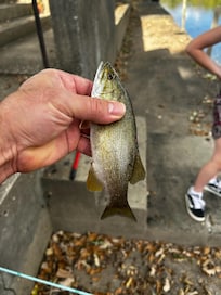 First catch!