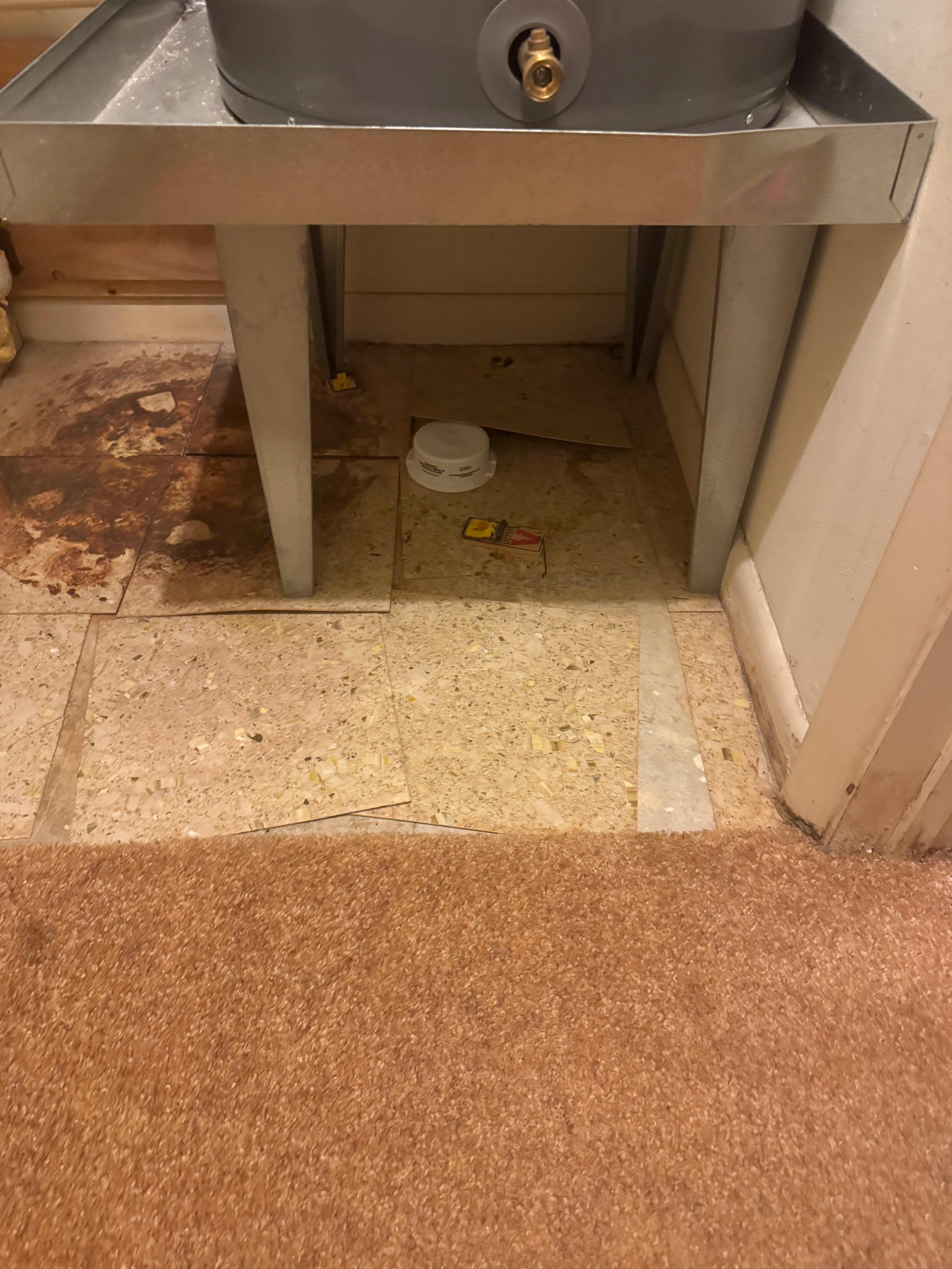 Another picture of closet with mouse trap