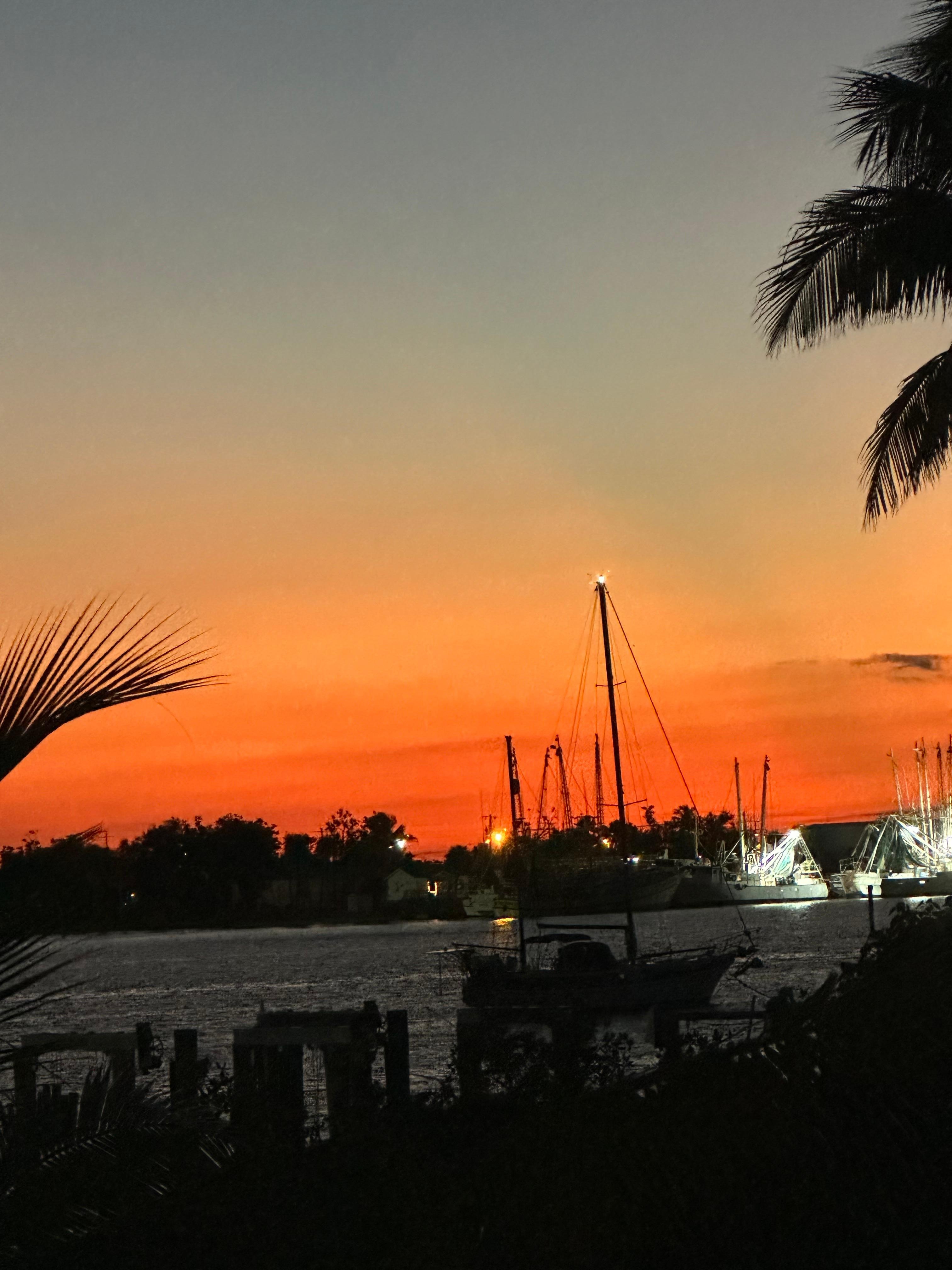 Sun coming up early am