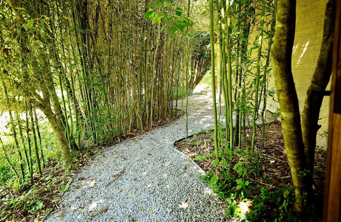 My favorite hidden gem!