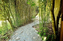 My favorite hidden gem!