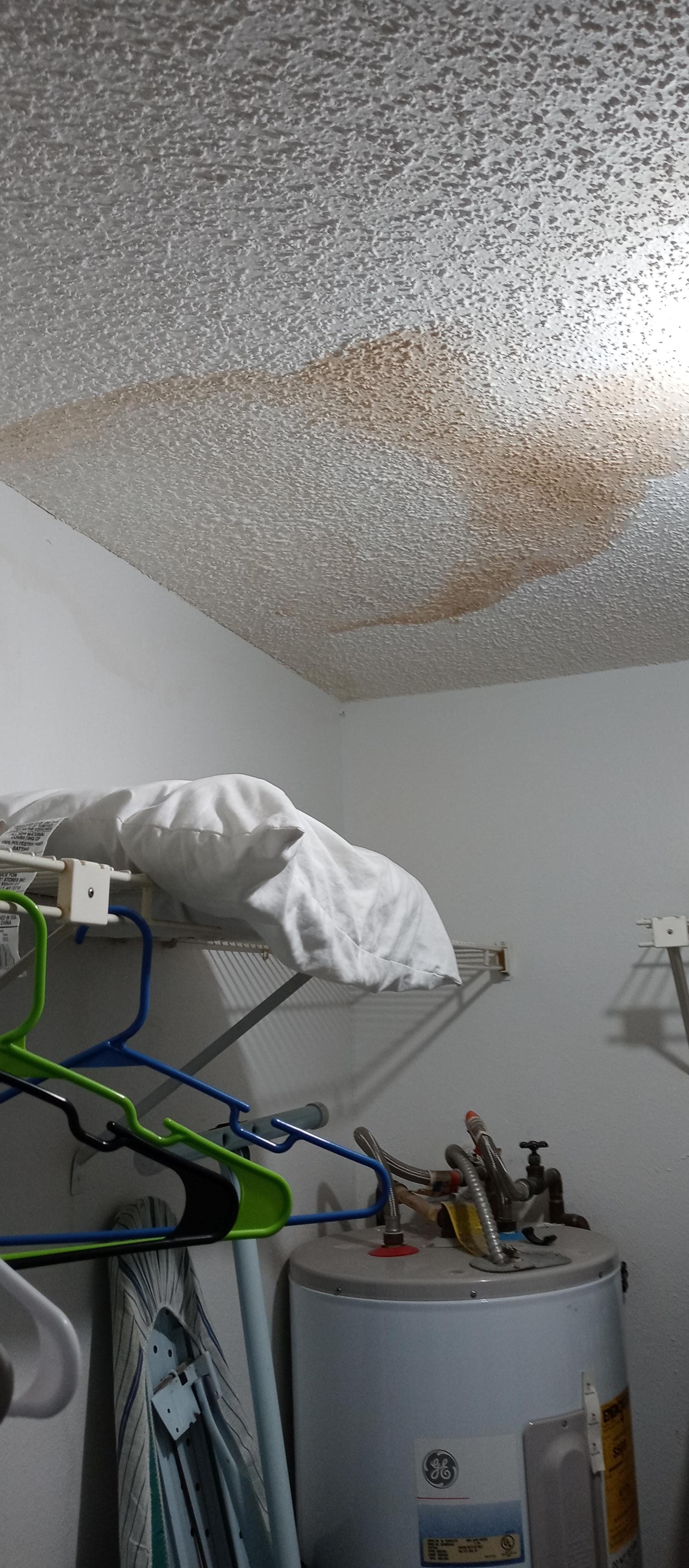 Mildew stain on bedroom closet ceiling.