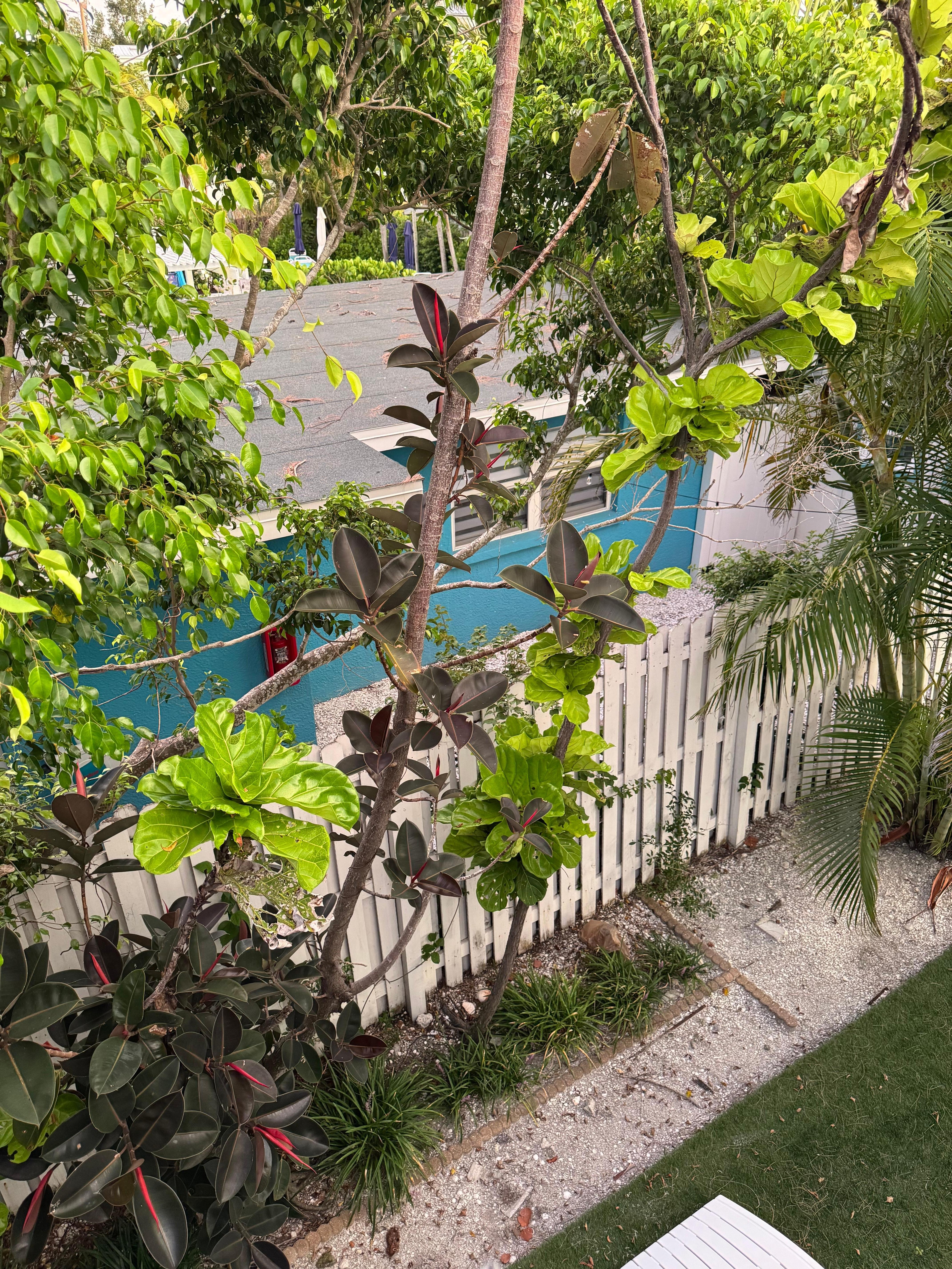 Landscaping off back portion of deck