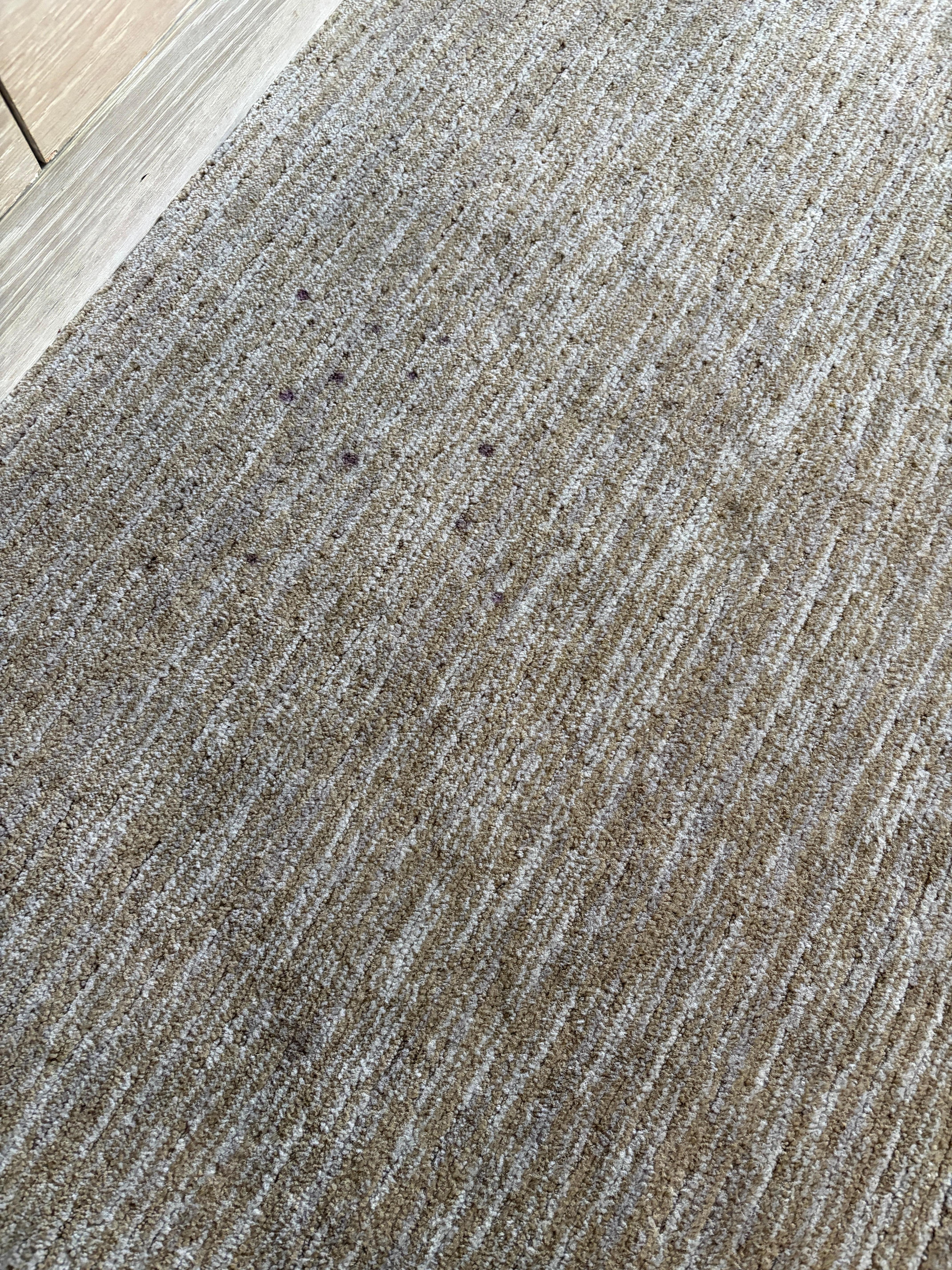 Unknown and disgusting stains on the carpet. 