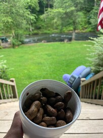Grab some boiled peanuts on the way in and enjoy on the back deck overlooking the river