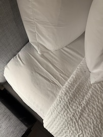 Dirt on bed