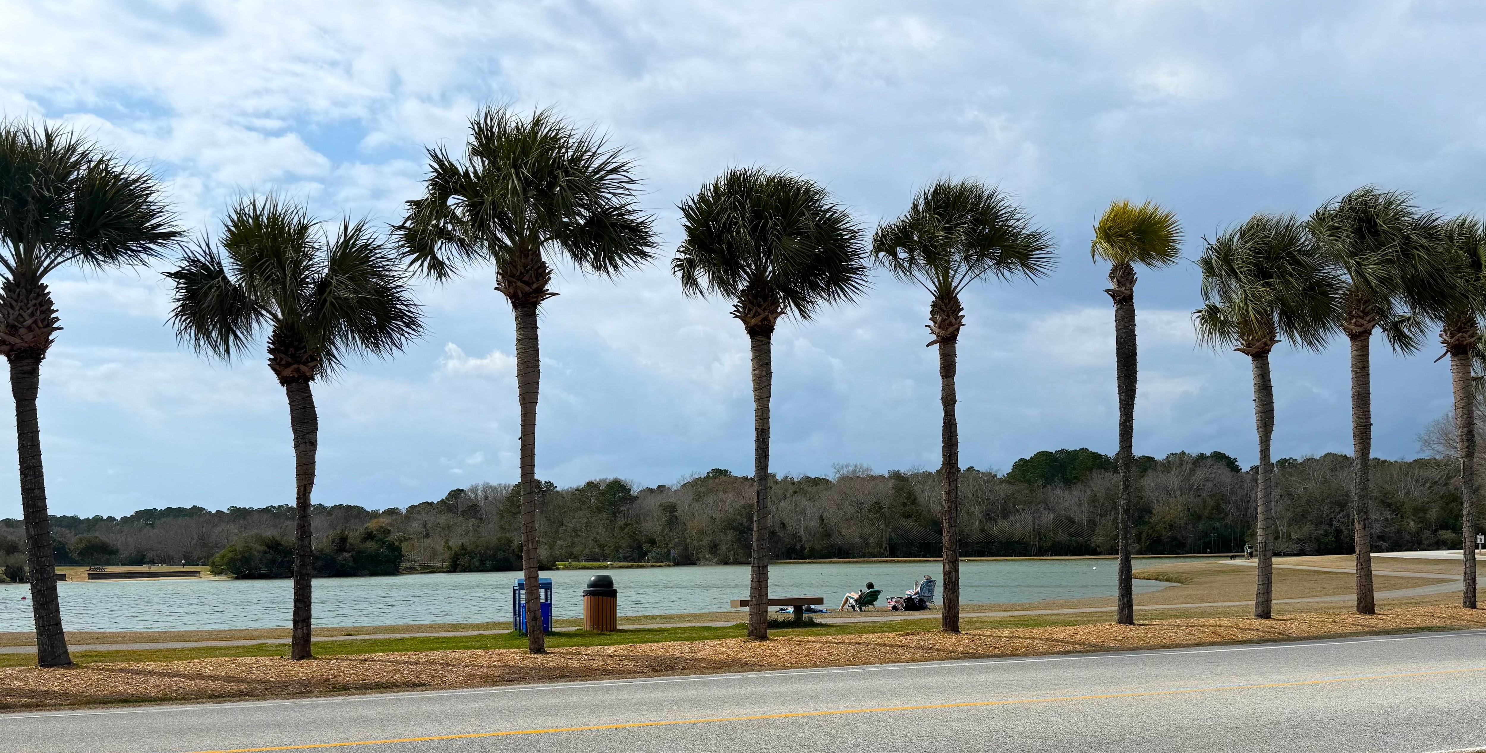 James County Park, 8 minutes away with an excellent dog park. 