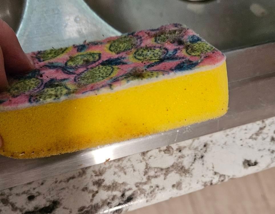 The filthy sponge left for us to wash dishes.