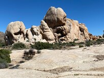 hour drive to visit Joshua Tree national park