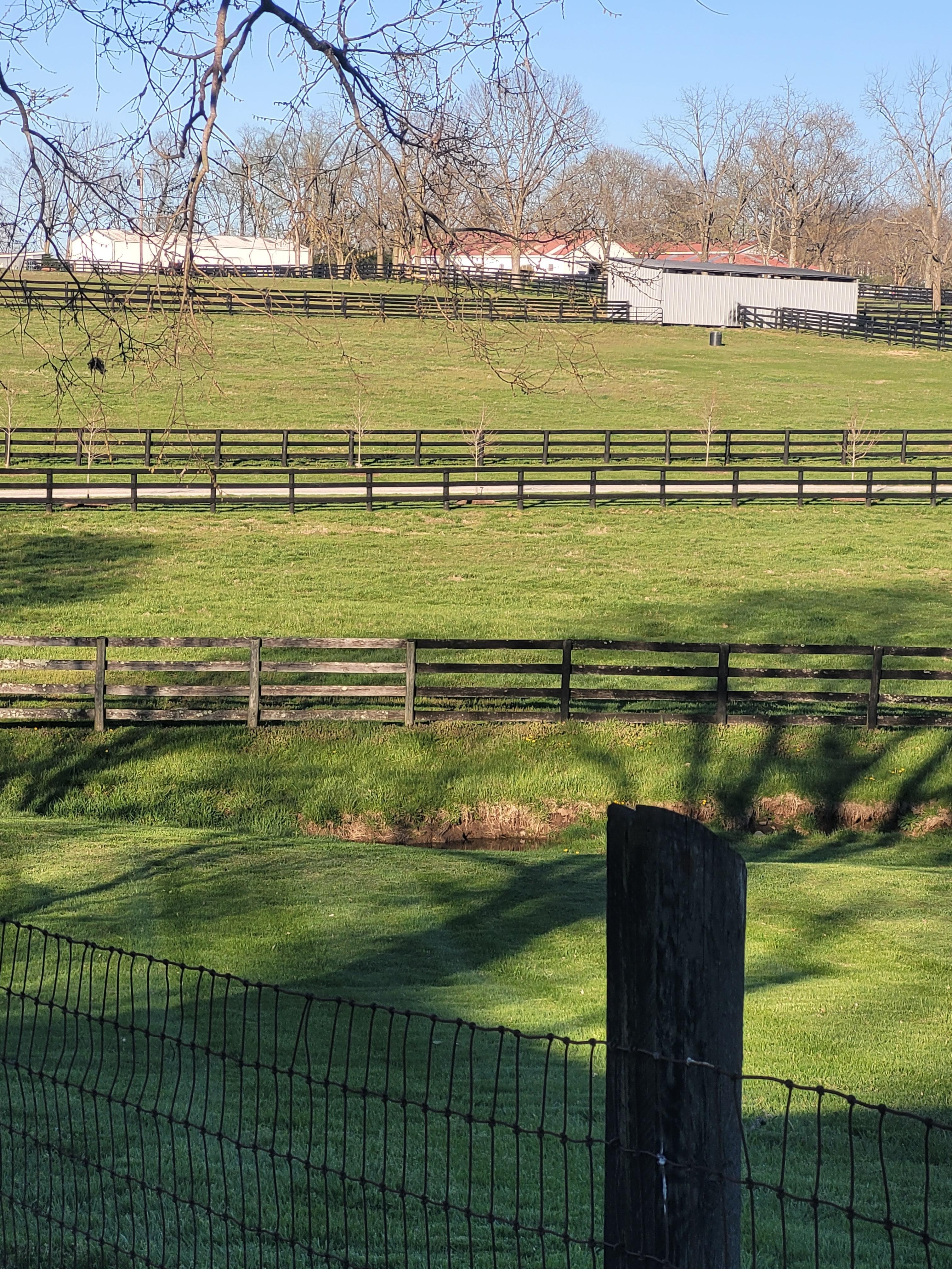 Nice views it was cold so horses must have been in stables 