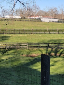 Nice views it was cold so horses must have been in stables