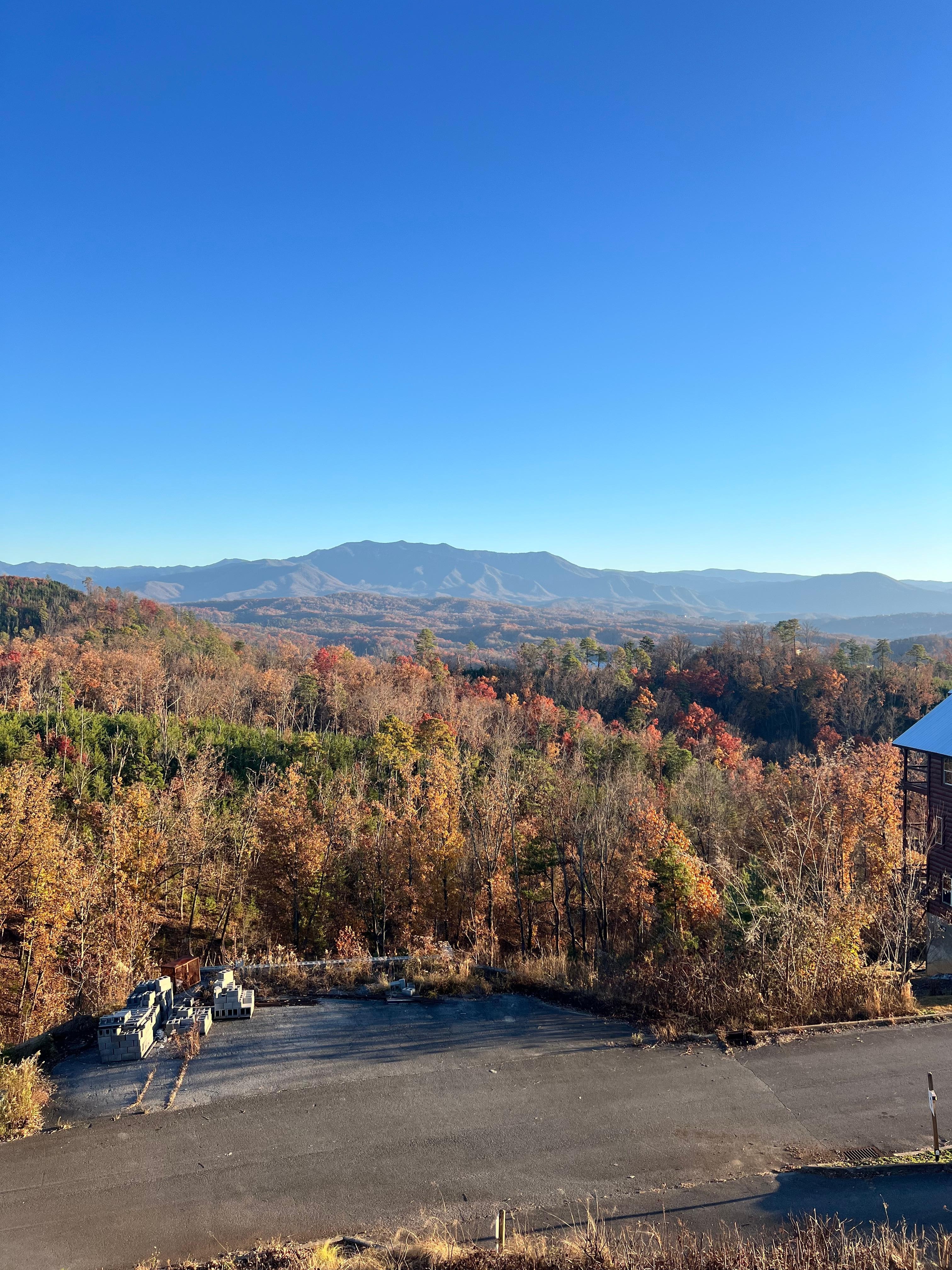 Beautiful view from lower deck 