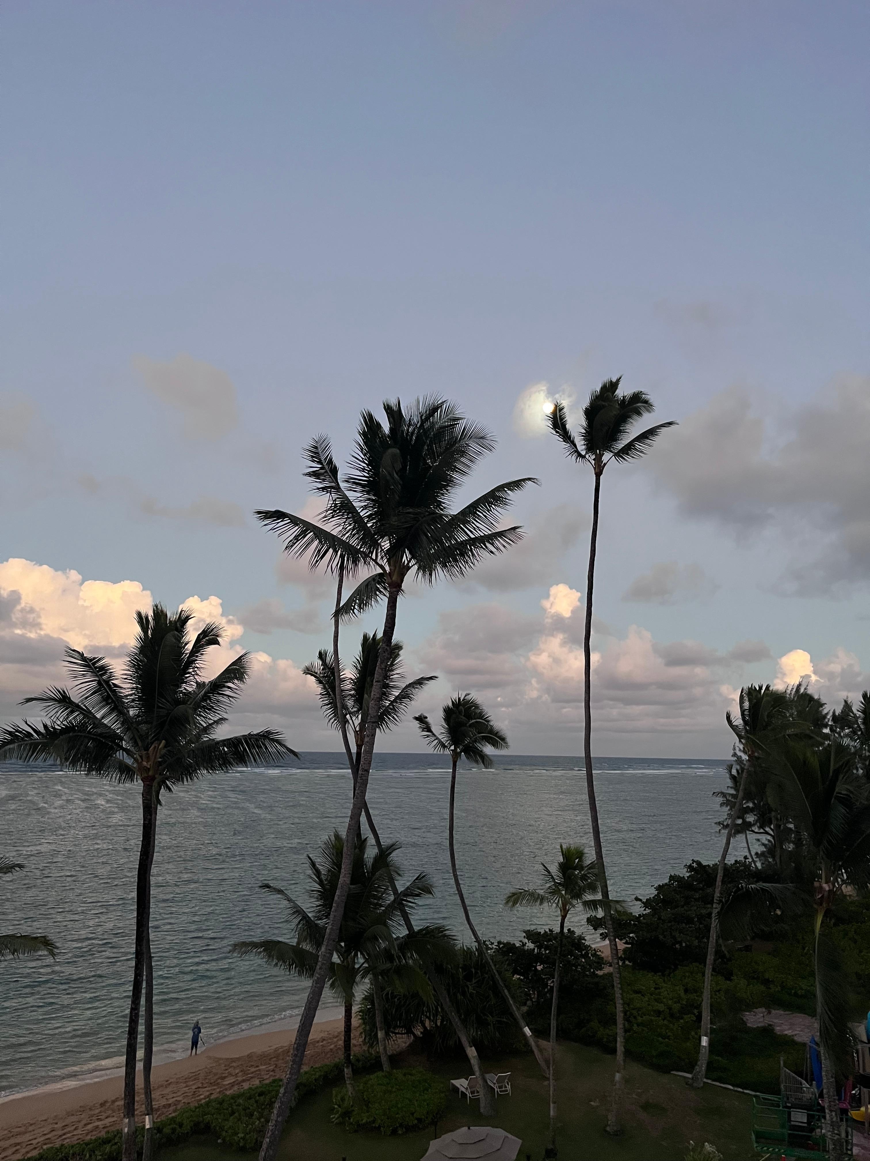 Great view from balcony. 