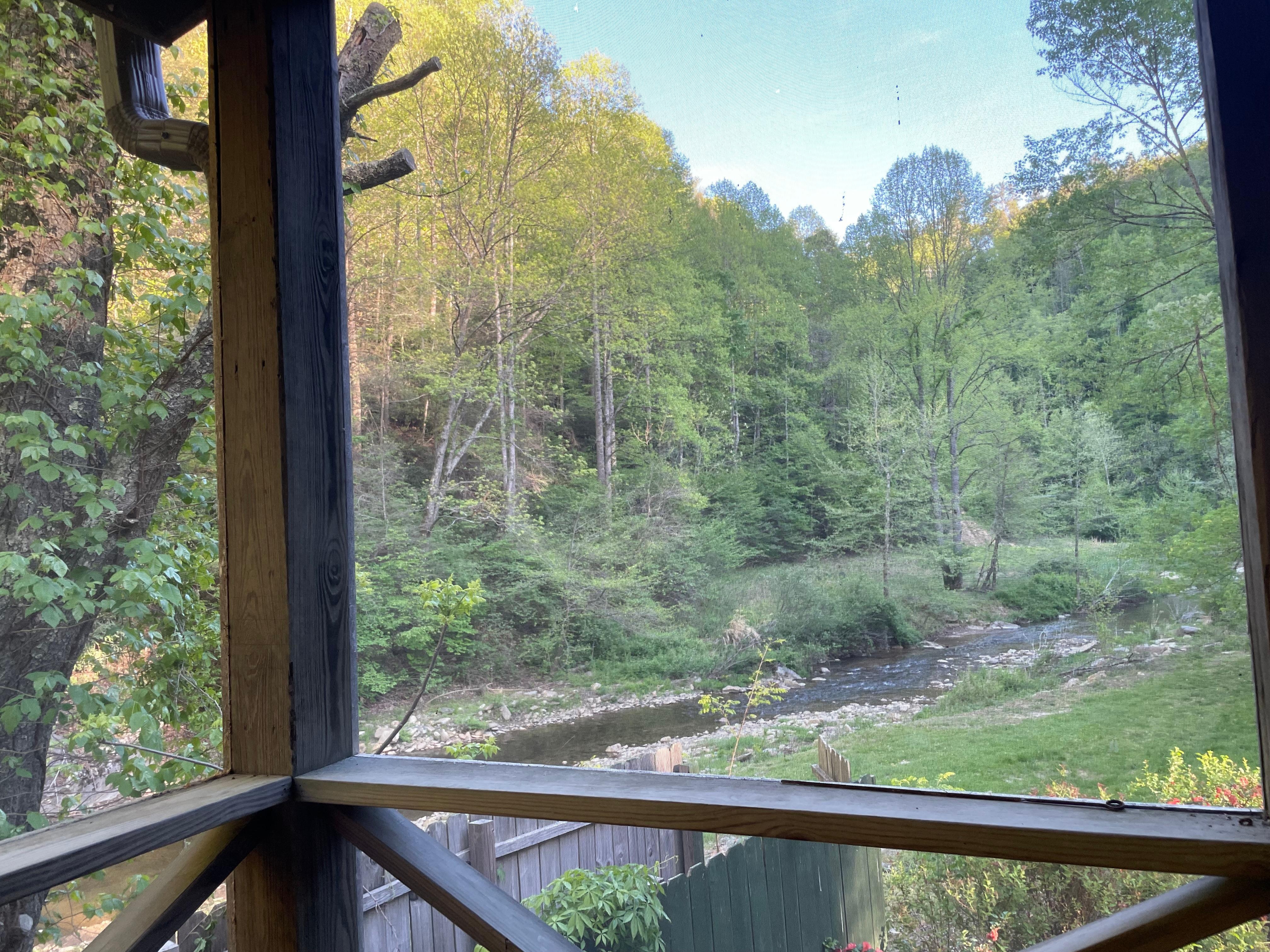 View from screened porch