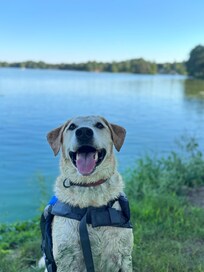 Malcolm loves the lake!
