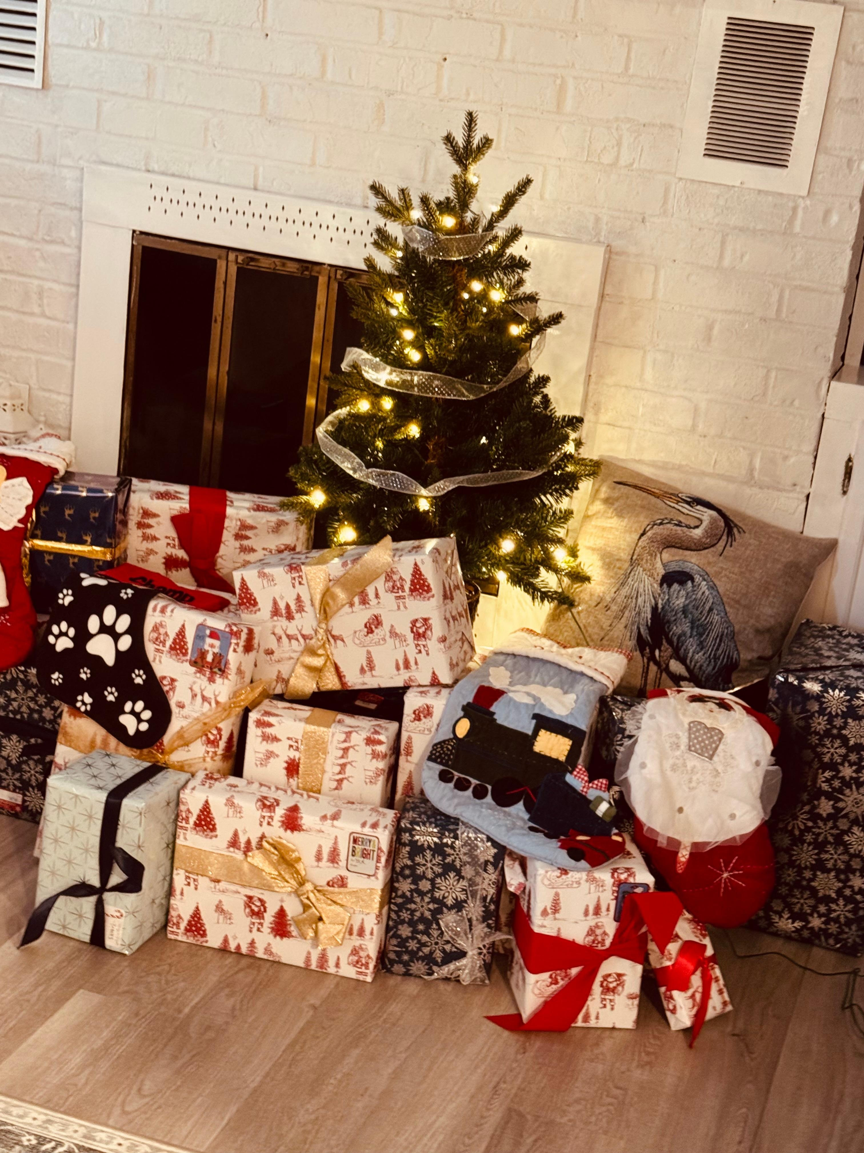 Brought a little Christmas with us!