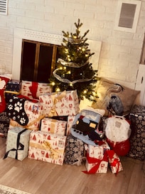 Brought a little Christmas with us!