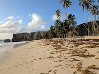 Bottom Bay Beach