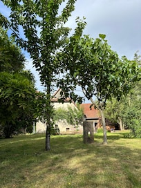 Verwunschener Garten mit vielen Obstbäumen sowie Spielgeräten für Kinder