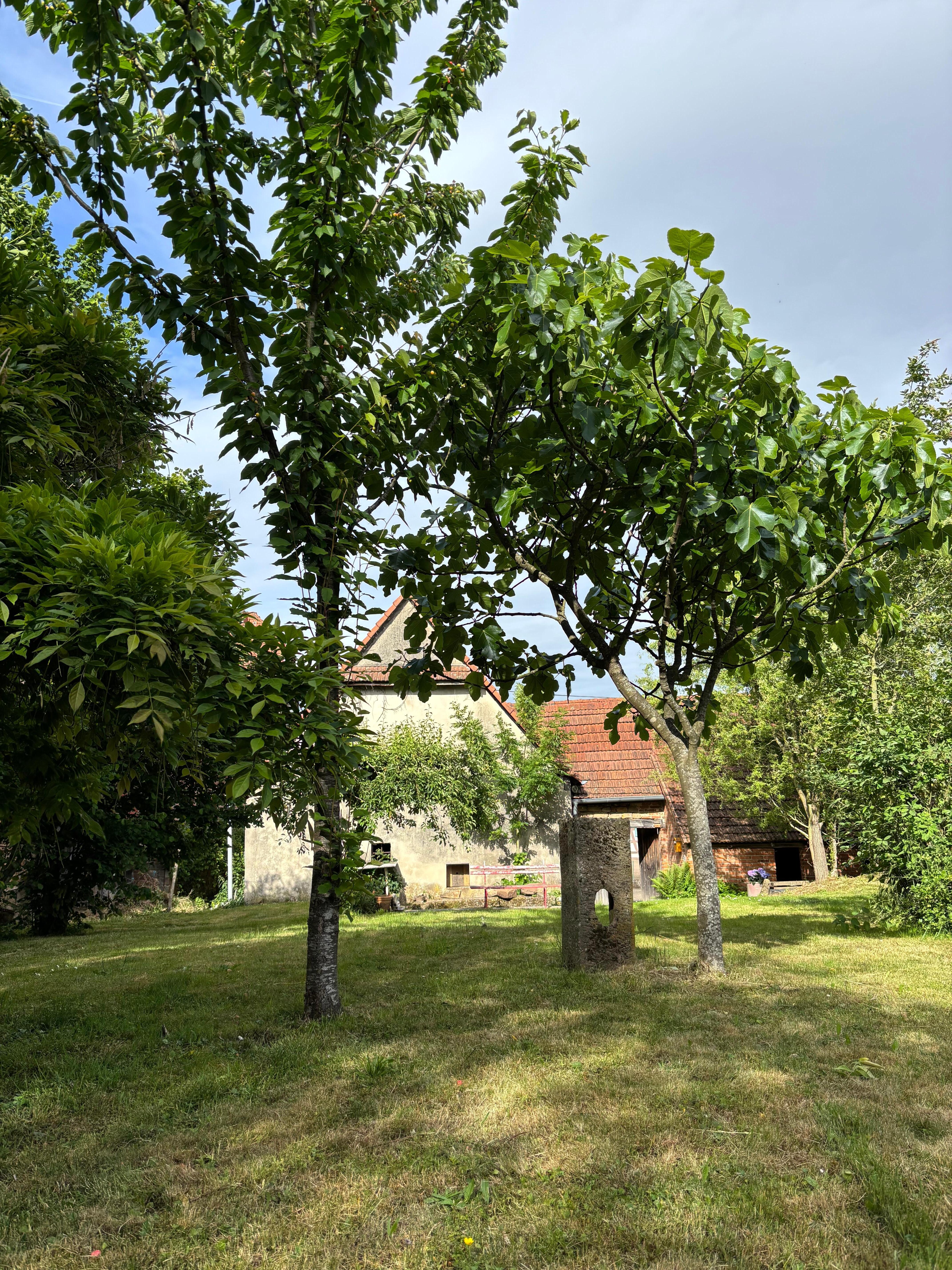 Verwunschener Garten mit vielen Obstbäumen sowie Spielgeräten für Kinder