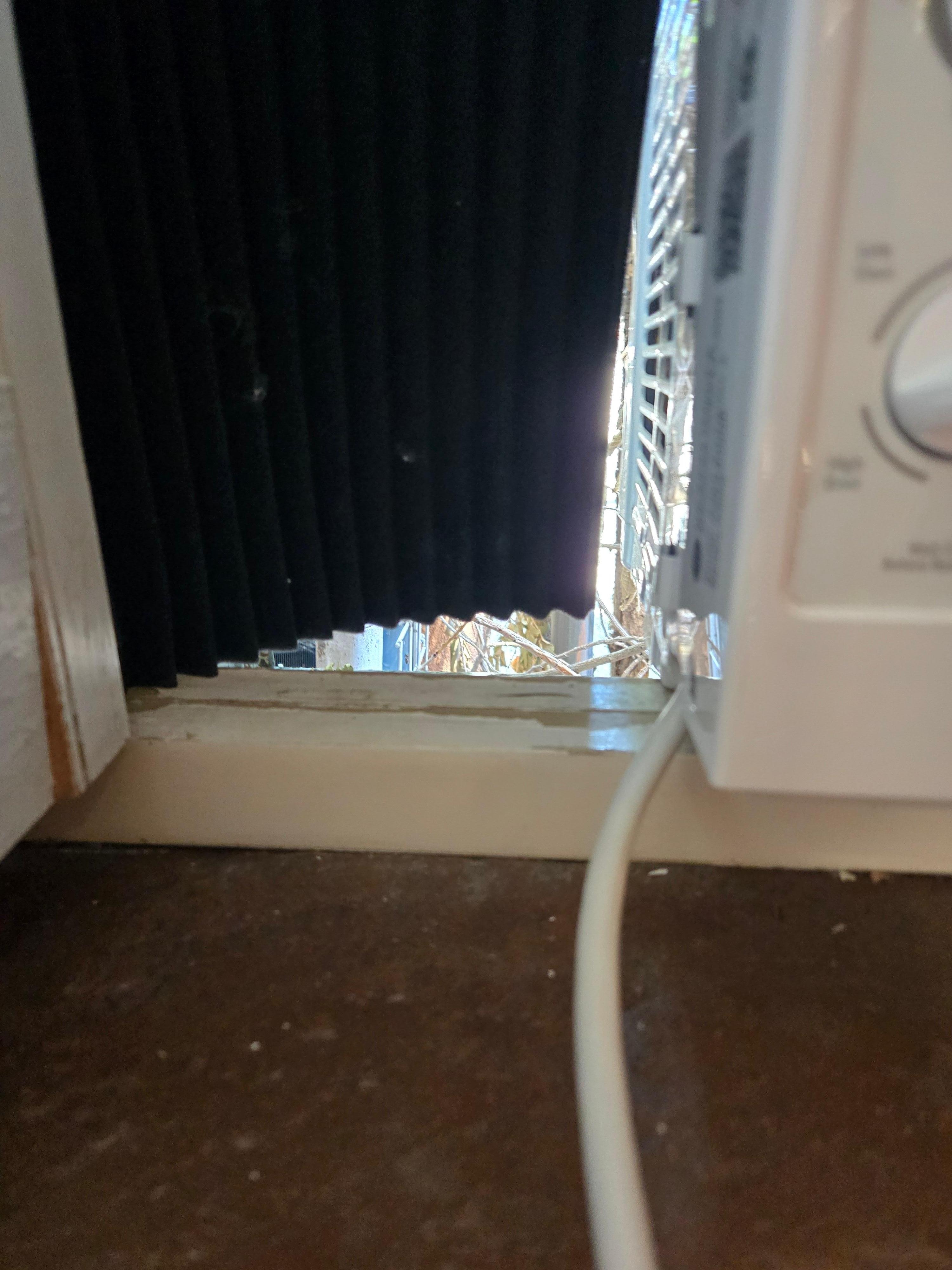 Large enough for a rodent to enter.