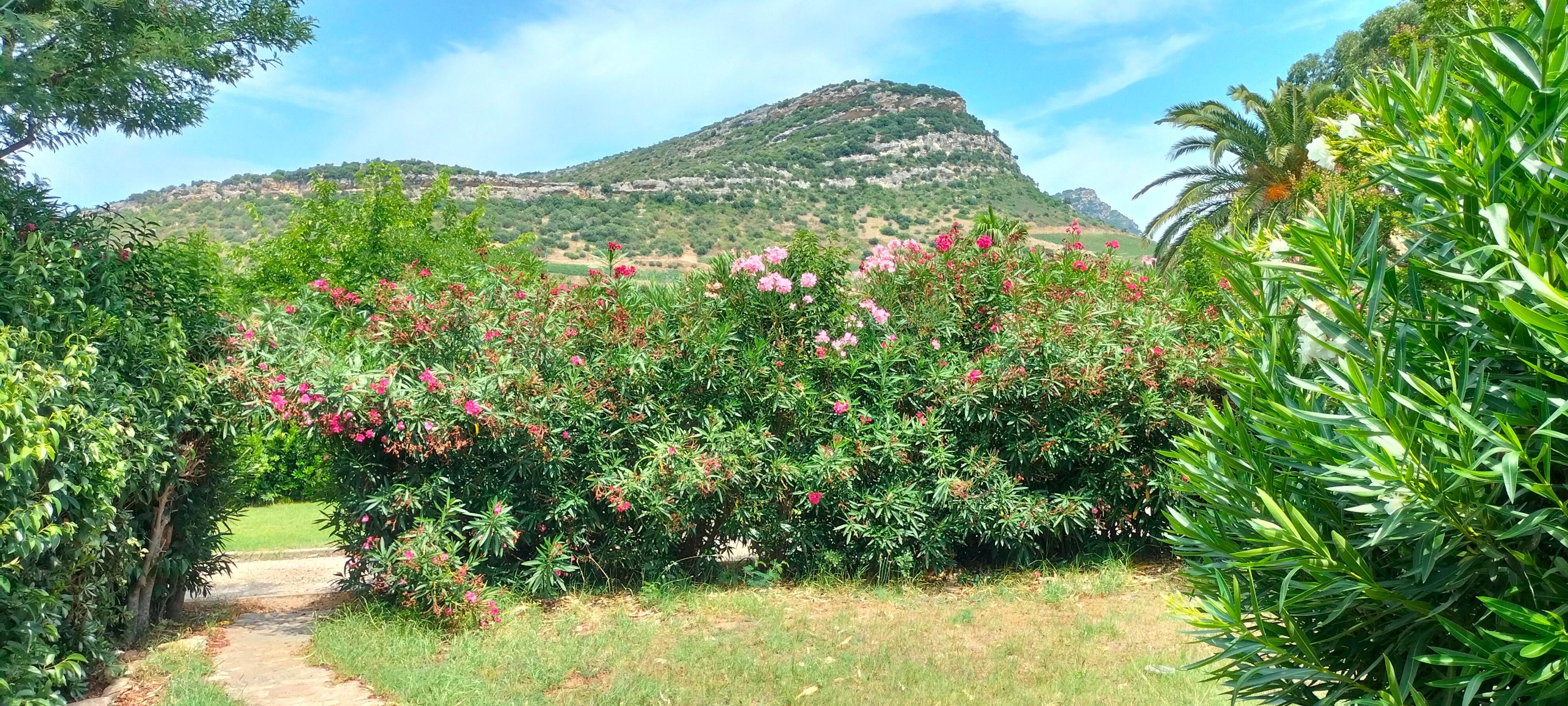 Vue de la maison! 😍