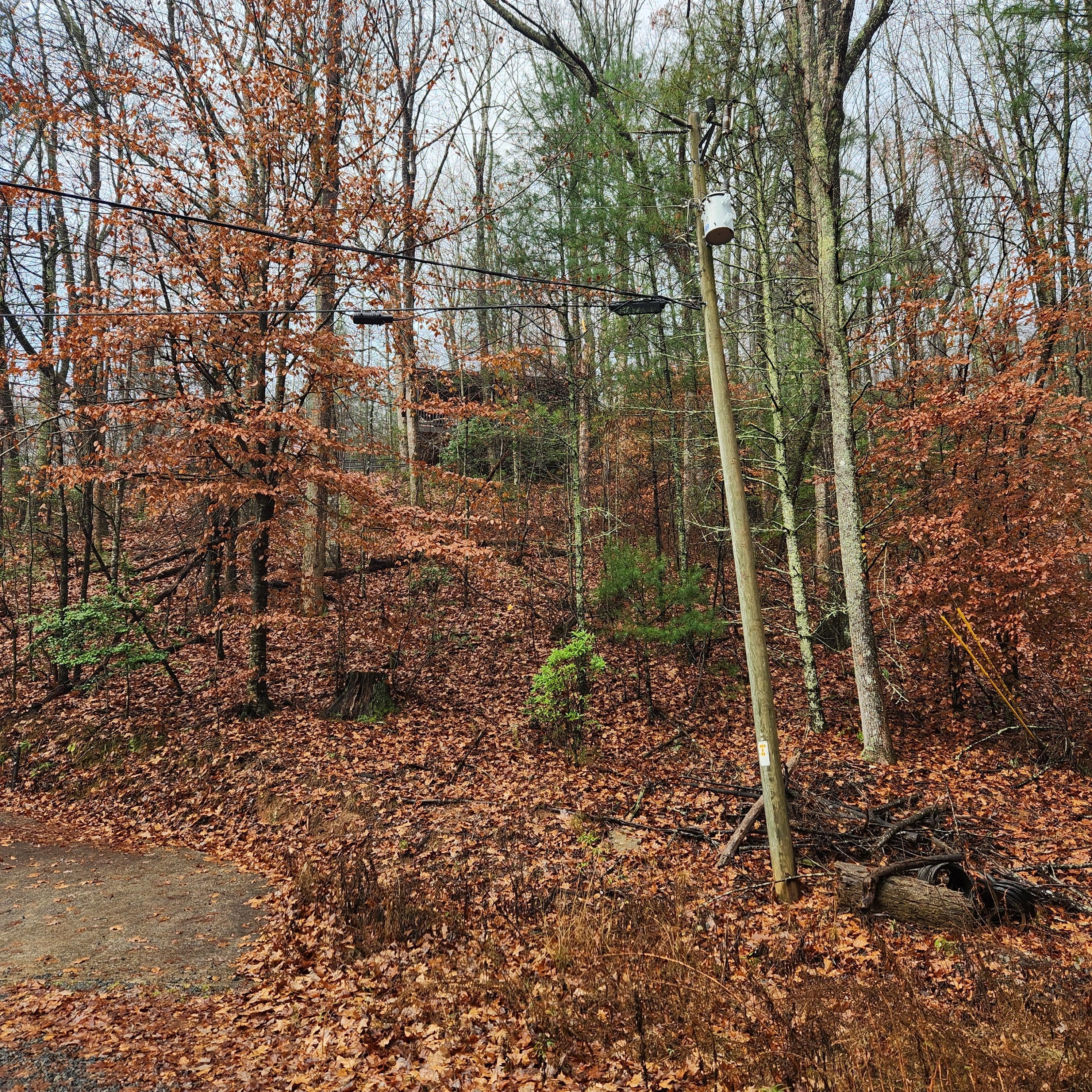Looking up at the cabin from the main road. 