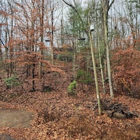 Looking up at the cabin from the main road.